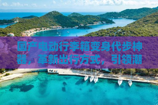 国产电动行李箱变身代步神器，革新出行方式，引领潮流新趋势