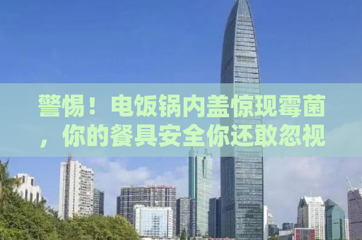 警惕！电饭锅内盖惊现霉菌，你的餐具安全你还敢忽视吗？
