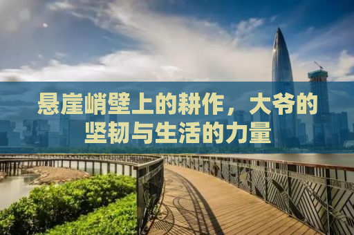 悬崖峭壁上的耕作，大爷的坚韧与生活的力量