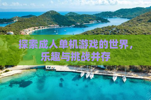 探索成人单机游戏的世界，乐趣与挑战并存