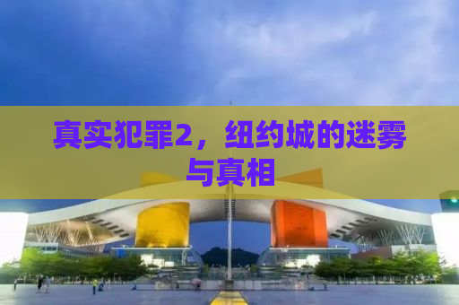 真实犯罪2，纽约城的迷雾与真相