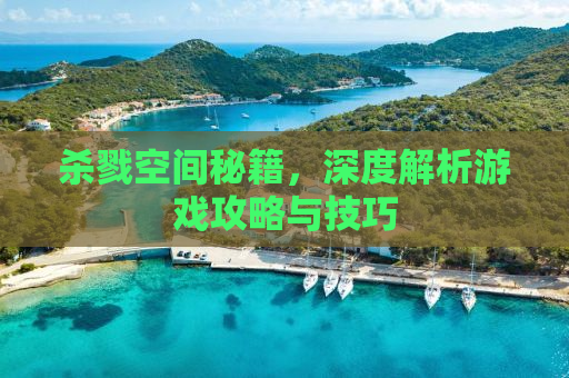 杀戮空间秘籍，深度解析游戏攻略与技巧
