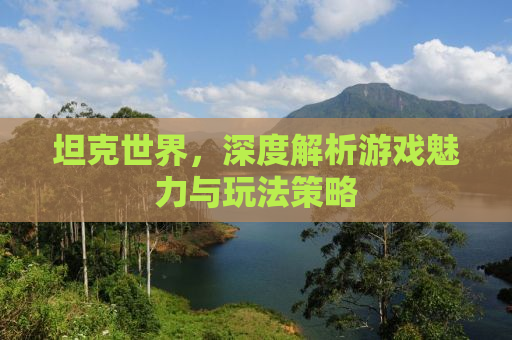 坦克世界，深度解析游戏魅力与玩法策略