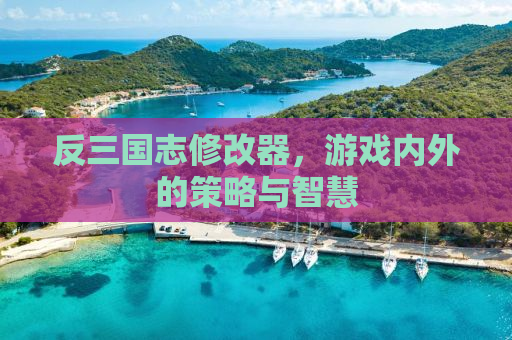 反三国志修改器，游戏内外的策略与智慧