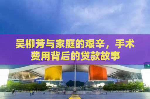 吴柳芳与家庭的艰辛，手术费用背后的贷款故事