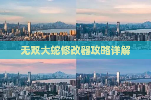 无双大蛇修改器攻略详解