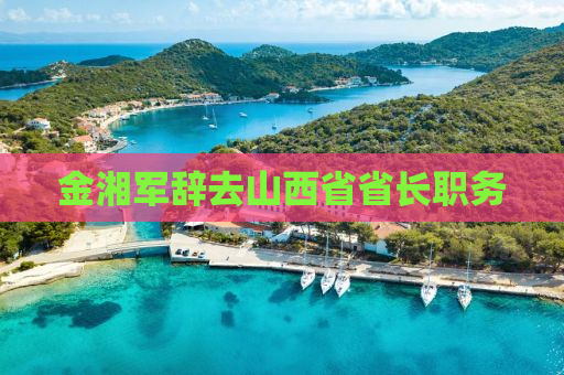 金湘军辞去山西省省长职务