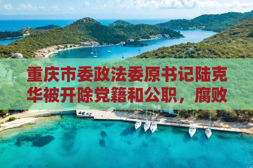 重庆市委政法委原书记陆克华被开除党籍和公职，腐败案揭示监督漏洞