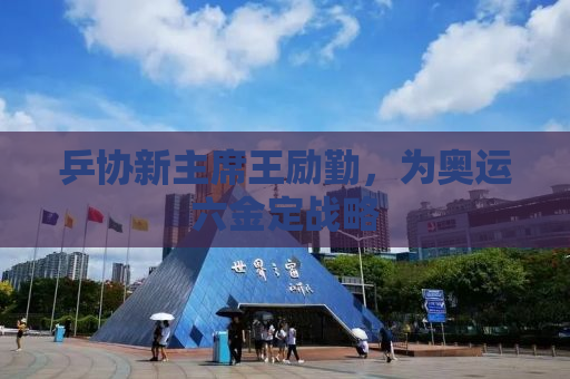 乒协新主席王励勤，为奥运六金定战略