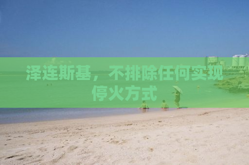 泽连斯基，不排除任何实现停火方式
