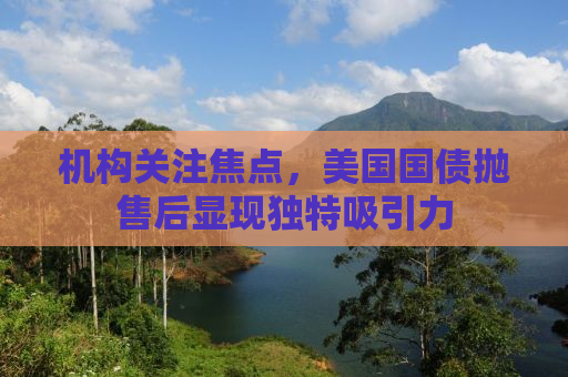 机构关注焦点，美国国债抛售后显现独特吸引力