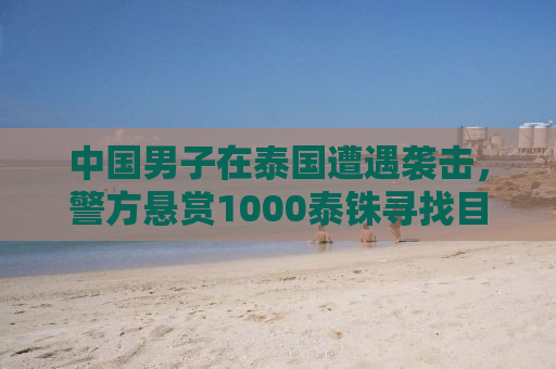中国男子在泰国遭遇袭击，警方悬赏1000泰铢寻找目击者及嫌疑人