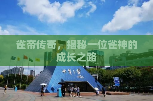 雀帝传奇，揭秘一位雀神的成长之路