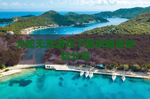 大蛇无双游戏下载攻略及体验分享