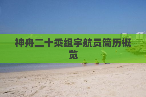 神舟二十乘组宇航员简历概览