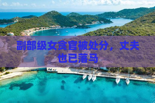 副部级女贪官被处分，丈夫也已落马