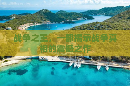 战争之王，一部揭示战争真相的震撼之作