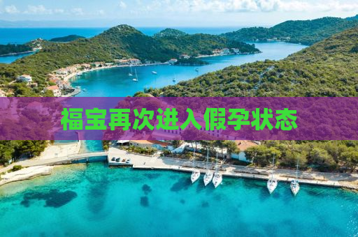福宝再次进入假孕状态
