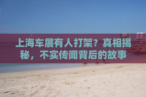 上海车展有人打架？真相揭秘，不实传闻背后的故事