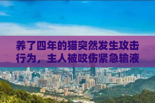 养了四年的猫突然发生攻击行为，主人被咬伤紧急输液一周