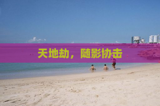 天地劫，随影协击