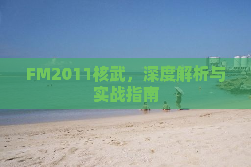 FM2011核武，深度解析与实战指南