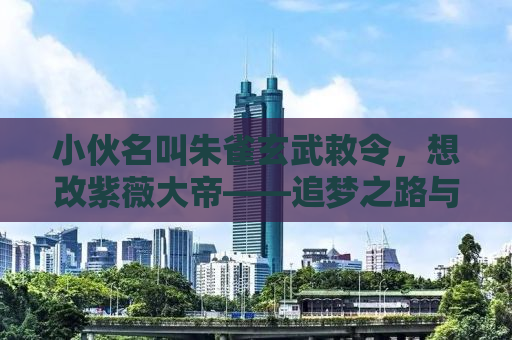 小伙名叫朱雀玄武敕令，想改紫薇大帝——追梦之路与自我重塑
