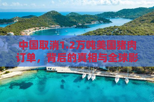中国取消1.2万吨美国猪肉订单，背后的真相与全球影响