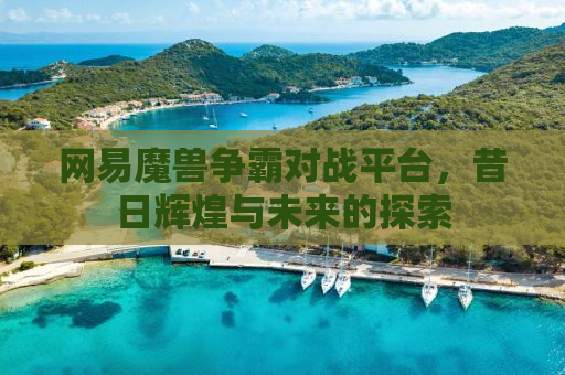 网易魔兽争霸对战平台，昔日辉煌与未来的探索