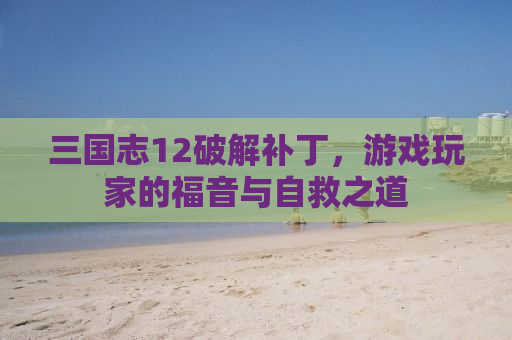 三国志12破解补丁，游戏玩家的福音与自救之道