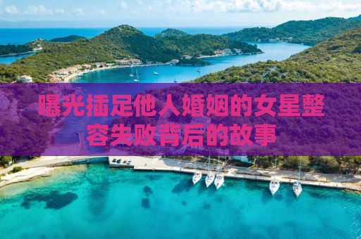 曝光插足他人婚姻的女星整容失败背后的故事
