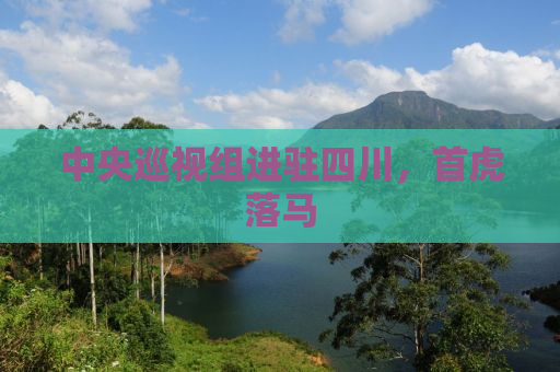 中央巡视组进驻四川，首虎落马