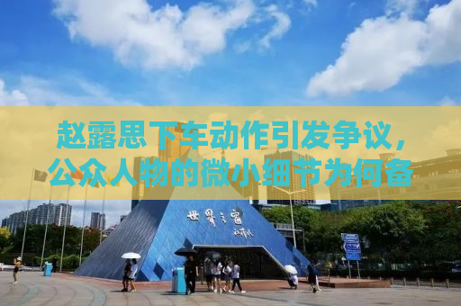 赵露思下车动作引发争议，公众人物的微小细节为何备受关注？