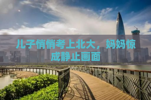 儿子悄悄考上北大，妈妈惊成静止画面
