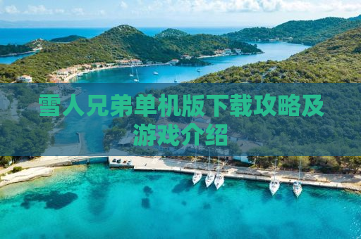 雪人兄弟单机版下载攻略及游戏介绍