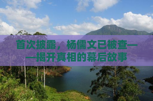 首次披露，杨儒文已被查——揭开真相的幕后故事