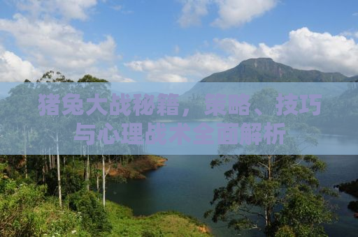 猪兔大战秘籍，策略、技巧与心理战术全面解析