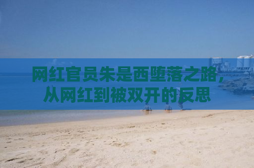网红官员朱是西堕落之路，从网红到被双开的反思