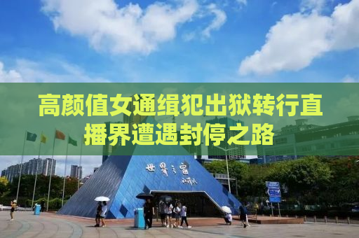 高颜值女通缉犯出狱转行直播界遭遇封停之路