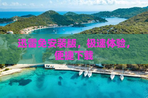迅雷免安装版，极速体验，便捷下载
