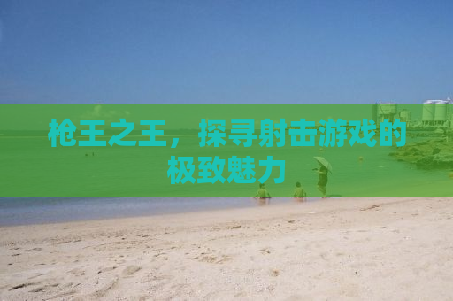 枪王之王，探寻射击游戏的极致魅力