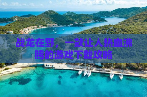 战龙在野，一款让人热血沸腾的游戏下载攻略