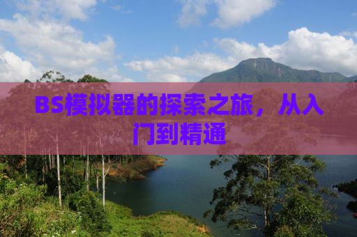BS模拟器的探索之旅，从入门到精通