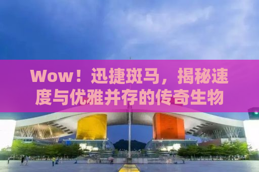 Wow！迅捷斑马，揭秘速度与优雅并存的传奇生物