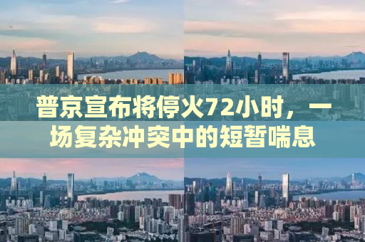 普京宣布将停火72小时，一场复杂冲突中的短暂喘息