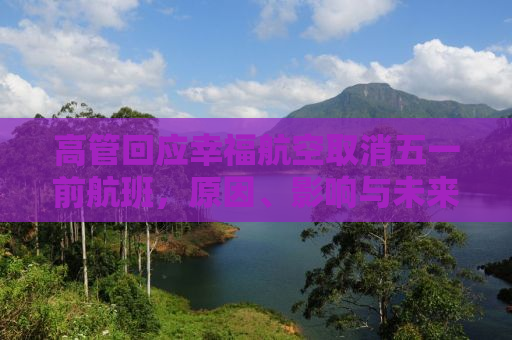 高管回应幸福航空取消五一前航班，原因、影响与未来展望