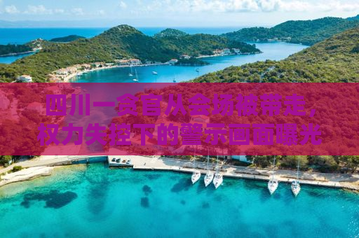四川一贪官从会场被带走，权力失控下的警示画面曝光
