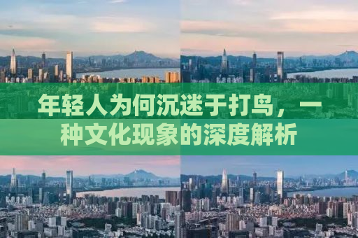年轻人为何沉迷于打鸟，一种文化现象的深度解析
