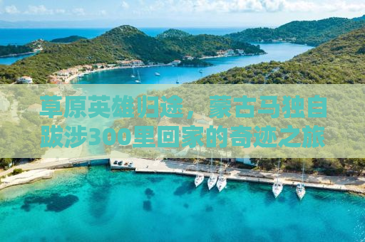 草原英雄归途，蒙古马独自跋涉300里回家的奇迹之旅