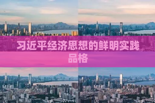 习近平经济思想的鲜明实践品格